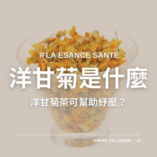 洋甘菊是什麼？營養師詳解4大洋甘菊功效！洋甘菊茶可幫助紓壓？