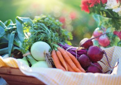 agriculture-basket-beets-533360-1024x683-1